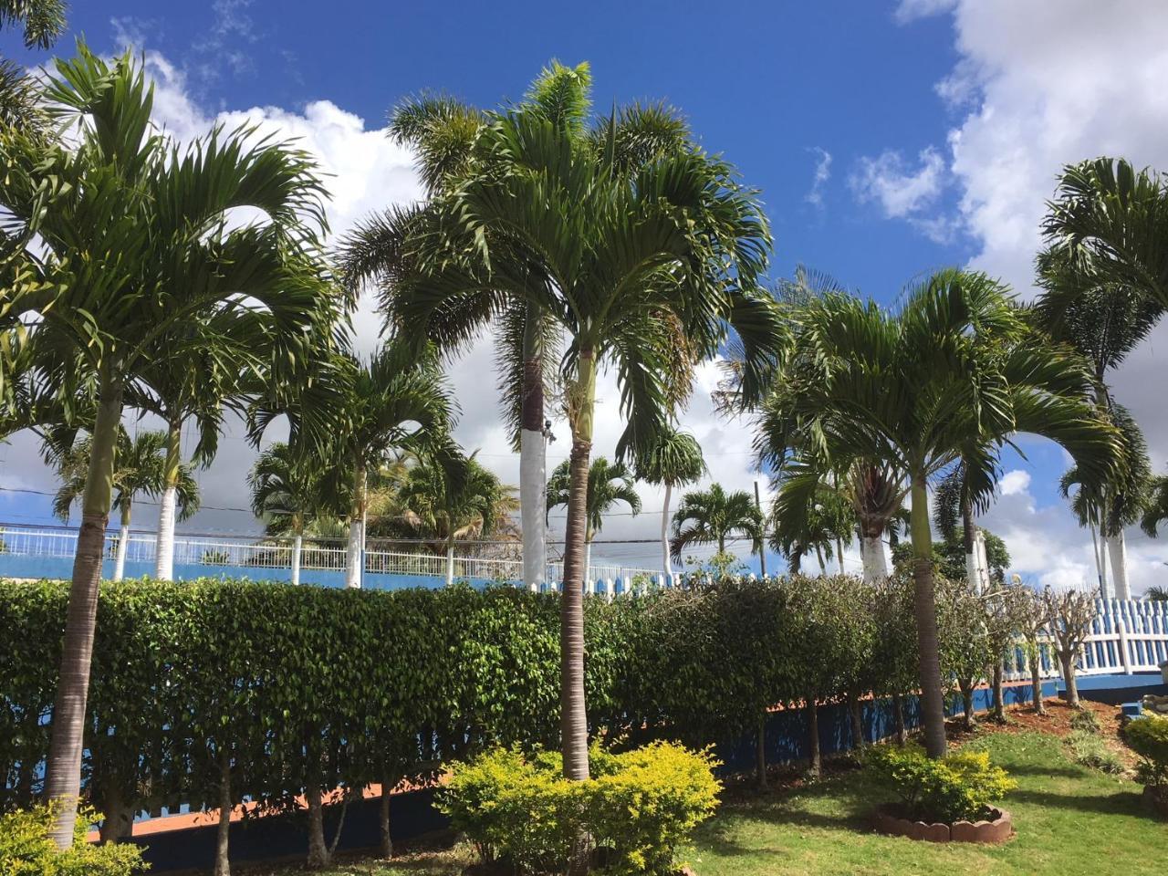 Hotel Tropics View Jamaica Hatfield Exterior foto